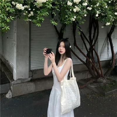 梅花档案